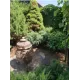 Садовый мастер Антонио