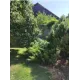 Садовый мастер Антонио