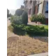 Садовый мастер Антонио