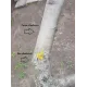 Садовый мастер Антонио